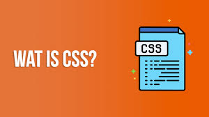 CSS logo